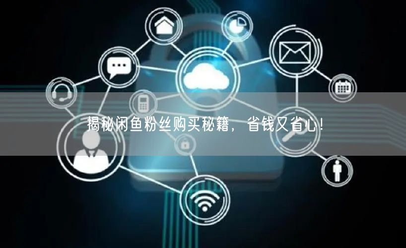 揭秘闲鱼粉丝购买秘籍，省钱又省心！