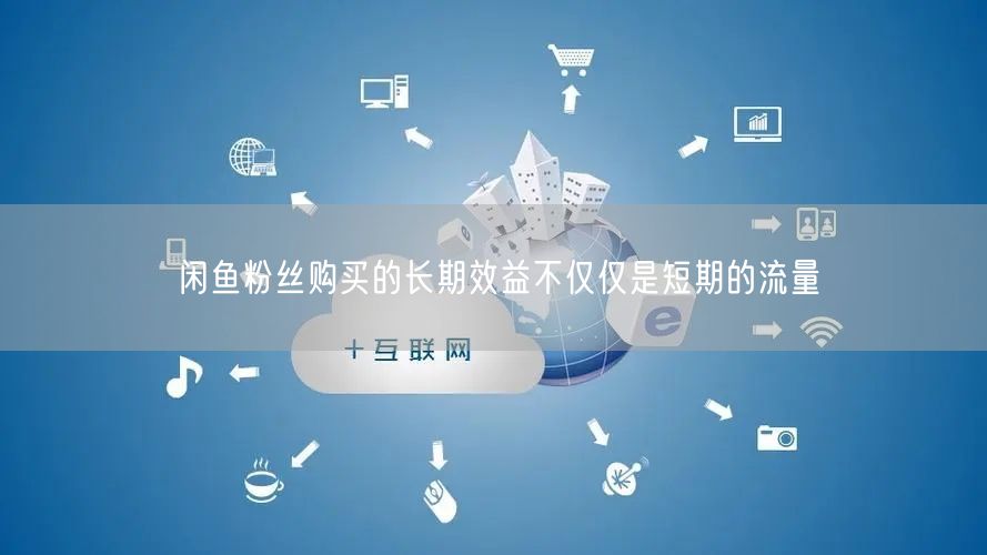 闲鱼粉丝购买的长期效益不仅仅是短期的流量