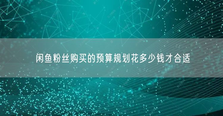 闲鱼粉丝购买的预算规划花多少钱才合适