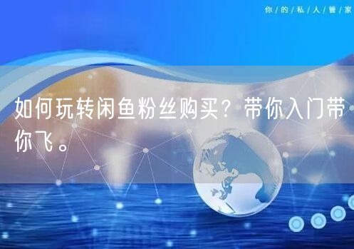 如何玩转闲鱼粉丝购买？带你入门带你飞。