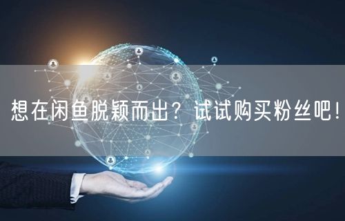 想在闲鱼脱颖而出?试试购买粉丝吧!