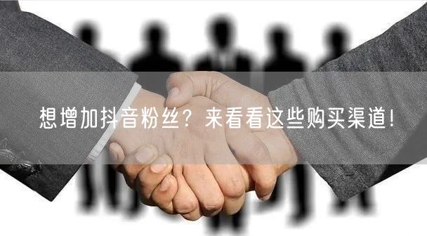 想增加抖音粉丝？来看看这些购买渠道！