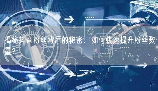 揭秘抖音粉丝背后的秘密：如何快速提升粉丝数量？
