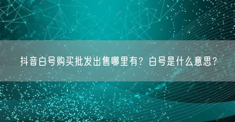 抖音白号购买批发出售哪里有?白号是什么意思?
