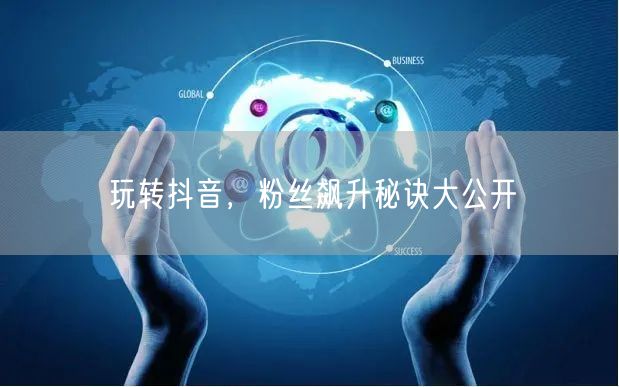 玩转抖音，粉丝飙升秘诀大公开