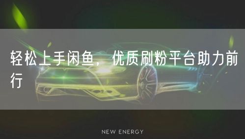 轻松上手闲鱼，优质刷粉平台助力前行