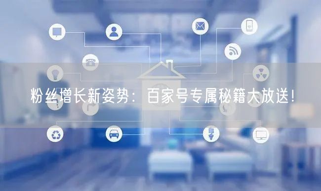 粉丝增长新姿势：百家号专属秘籍大放送！
