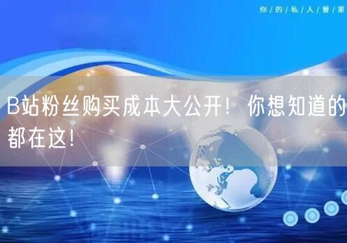 B站粉丝购买成本大公开！你想知道的都在这！