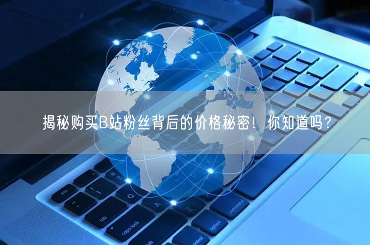 揭秘购买B站粉丝背后的价格秘密！你知道吗？