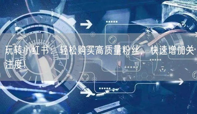 玩转小红书：轻松购买高质量粉丝，快速增加关注度！