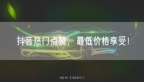 抖音热门点赞，最低价格享受！