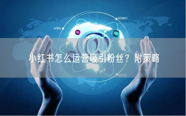 小红书怎么运营吸引粉丝?附策略
