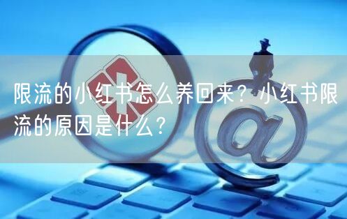 限流的小红书怎么养回来?小红书限流的原因是什么?