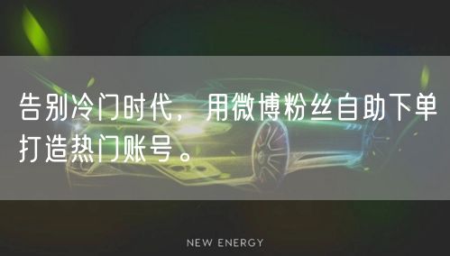 告别冷门时代，用微博粉丝自助下单打造热门账号。