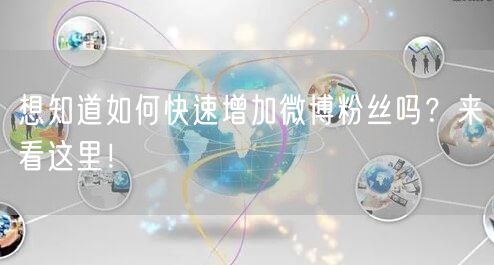 想知道如何快速增加微博粉丝吗?来看这里!