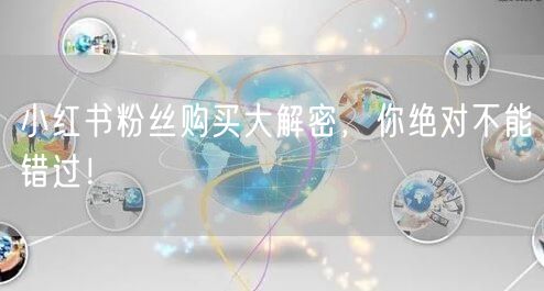 小红书粉丝购买大解密，你绝对不能错过！