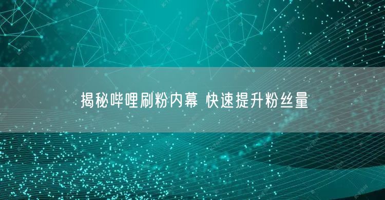 揭秘哔哩刷粉内幕 快速提升粉丝量