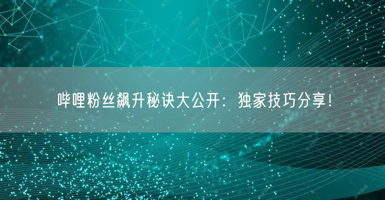 哔哩粉丝飙升秘诀大公开：独家技巧分享！