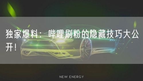 独家爆料：哔哩刷粉的隐藏技巧大公开！