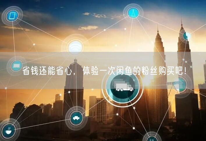 省钱还能省心，体验一次闲鱼的粉丝购买吧！
