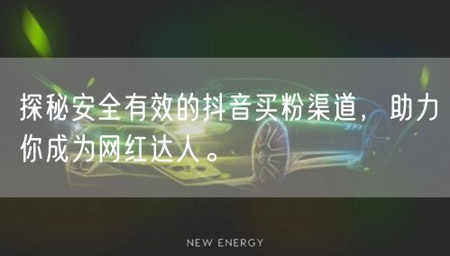 探秘安全有效的抖音买粉渠道，助力你成为网红达人。